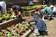 花壇整備活動の様子