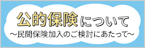 公的保険について ～民間保険加入のご検討にあたって～