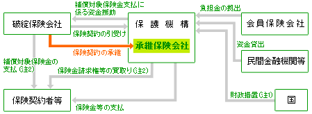 救済保険会社が現れない場合の仕組みの概略図