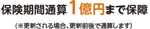 保険期間通算1億円まで保障。※更新される場合、更新前後で通算します