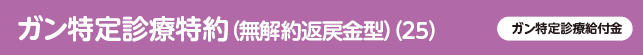 ガン特定診療特約（無解約返戻金型）（25）ガン特定診療給付金