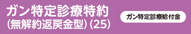 ガン特定診療特約（無解約返戻金型）（25）ガン特定診療給付金