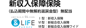 ＆LIFE 新収入保障保険 払込期間中無解約返戻金型 無配当 Ⅰ型：新収入保障／Ⅵ型：新総合収入保障／Ⅶ型：新総合収入保障ワイド