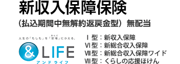 ＆LIFE 新収入保障保険 払込期間中無解約返戻金型 無配当 Ⅰ型：新収入保障／Ⅵ型：新総合収入保障／Ⅶ型：新総合収入保障ワイド／Ⅷ型：くらしの応援ほけん