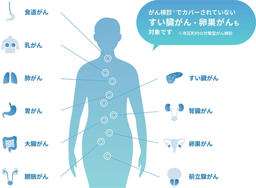 食道がん・乳がん・肺がん・胃がん・大腸がん・膀胱がん・すい臓がん・腎臓がん・卵巣がん・前立腺がん※がん検診（市区町村の対策型がん検診）でカバーされていないすい臓がん・卵巣がんも対象です