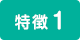 特徴1